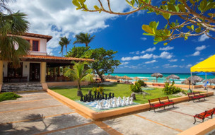 Starfish Cuatro Palmas