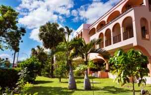 Starfish Cuatro Palmas