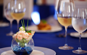 Starfish Cuatro Palmas