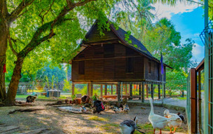 Pelangi Beach Resort & Spa, Langkawi