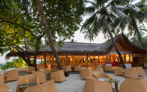 Niva Kuramathi Maldives