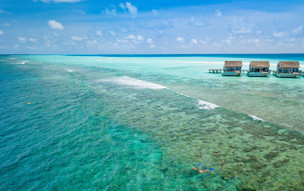 Niva Kuramathi Maldives