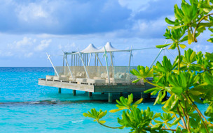 Niva Kuramathi Maldives