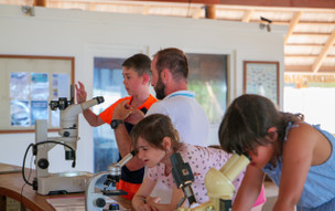 Niva Kuramathi Maldives