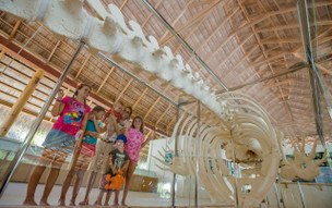 Niva Kuramathi Maldives