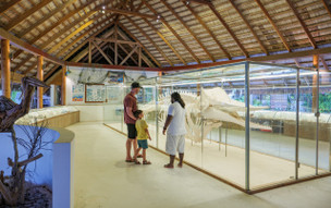 Niva Kuramathi Maldives