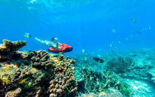 Sheraton Maldives Full Moon Resort and Spa