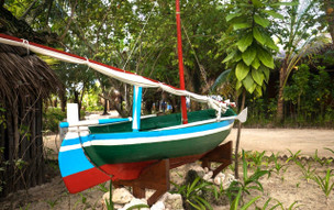 Taj Coral Reef Resort & Spa, Maldives