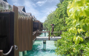 Taj Coral Reef Resort & Spa, Maldives