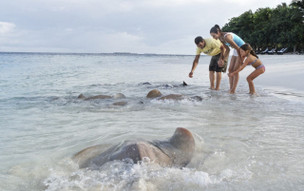 Taj Coral Reef Resort & Spa, Maldives