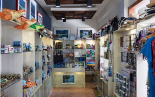 Taj Coral Reef Resort & Spa, Maldives