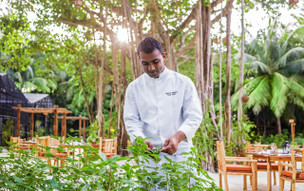 One and Only Reethi Rah