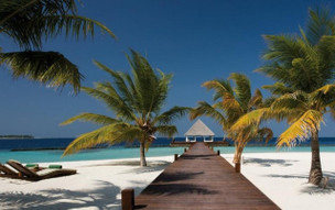 Coco Bodu Hithi