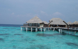 Coco Bodu Hithi