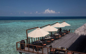 Coco Bodu Hithi
