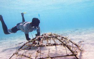 Banyan Tree Vabbinfaru
