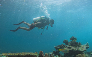 Hideaway Beach Resort & Spa