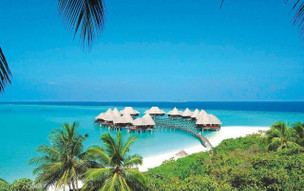 Coco Palm Dhuni Kolhu