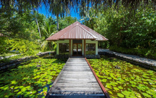 Filitheyo Island Resort