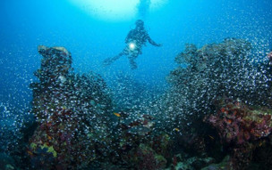 Park Hyatt Maldives Hadahaa