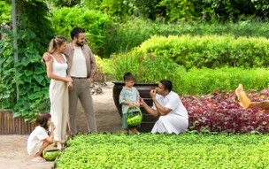 JW Marriott Maldives Resort & Spa