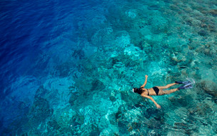 The Barefoot Eco Hotel