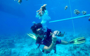 The Barefoot Eco Hotel