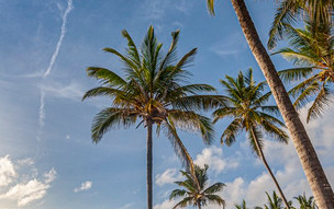 Breezes Beach Club & Spa