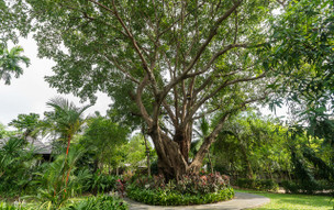 Sea Sand Sun Resort & Spa