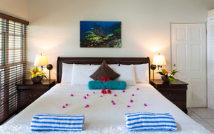 Tobago-Blue-Waters-standard-room-1635