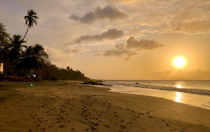 Plantation Beach Villas