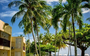 Starfish Tobago Resort