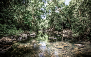 Katrina Butterworth - nature (1)_792x528