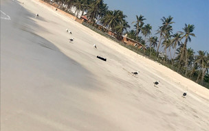 salalah (18)