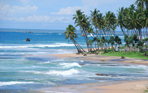 galle4