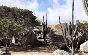 Aruba - Ayo a Casibari