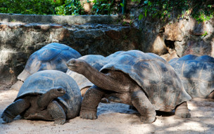 Seychely - přírodní parky