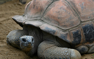 Seychely - přírodní parky