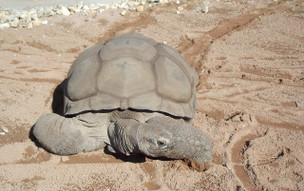 Seychely - přírodní parky