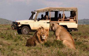 Keňa - Masai Mara