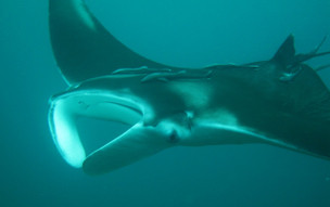 Trinidad a Tobago - geografie