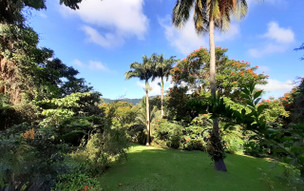 Barbados - přírodní rezervace