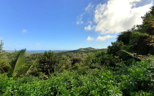 Barbados - přírodní rezervace