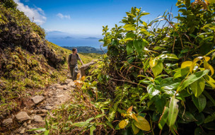 Guadeloupe – národní park a sopka La Sufrierre