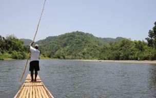 Jamajka - fauna a flóra