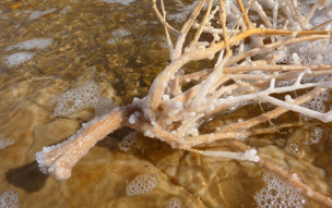 Jordánsko - Mrtvé moře