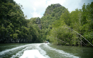 Langkawi - mezi plážemi a mangrovy