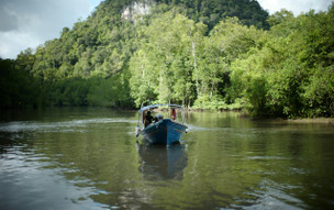 Langkawi - mezi plážemi a mangrovy