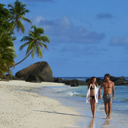 Niva Labriz Seychelles