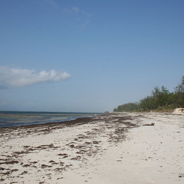 watamu